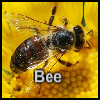 Пазл: Пчела (Bee)