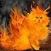 Пазл: Огненный кот (Flame cat slide puzzle)