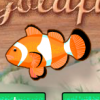 Воспоминания о рыбках (memoirs of goldfish)