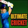 Крикет (Ultimate Cricket)
