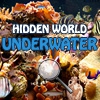Поиск предметов: Подводный мир (Hidden World: Underwater)