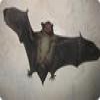 Пазл: Летучая мышь (Flying Bat)