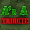 Спецоперация. (America's Army tribute by flashgamesfan.com)