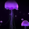 Пятнашки: Медузы (Purple jellyfish slide puzzle)