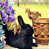 Пятнашки: Кролик (Black rabbit slide puzzle)