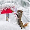 Пятнашки: Белочка (Squirrel in snow slide puzzle)