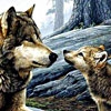 Пазл: Волки (Wolfs)