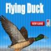 Утка 2012 (Flying Duck 2012)
