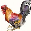 Пазл: Петух (Colorful rooster puzzle)