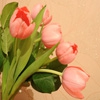 Пазл: Тюльпаны (Jigsaw: Tulips)