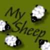 Мои овечки! (My Sheep)