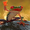 Пазл: Красная лягушка (Red frog puzzle)