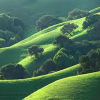 Поиск чисел: Зеленые холмы (Green hills find numbers)