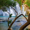 Поиск отличий: Лесной водопад (Forest Waterfalls)