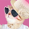 Одевалка: Наряд для котенка (Chic Kitty)