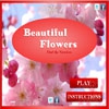 Поиск чисел: Прекрасные цветы (Beautiful Flowers - Find The Numbers)