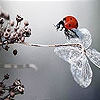 Пятнашки: Божья коровка (Ladybug in the woods slide puzzle)