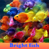 Пять отличий: Яркие рыбки (Bright fish 5 Differences)