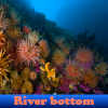 Пять отличий: Река (River bottom 5 Differences)