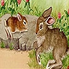 Пазлы: Кролики (Rabbits at the farm puzzle)