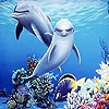 Пазл: Дельфины (Sea and dolphins puzzle)