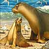 Пазл: Морской лев (Mother and baby sea lion puzzle)