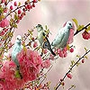 Пятнашки: Птички (Blue birds  on the branch slide puzzle)