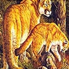 Пятнашки: Огненные кошки (Orange tigers slide puzzle)