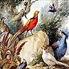 Пятнашки: Птицы в лесу (Birds in the woods slide puzzle)