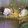 Пятнашки: Аисты на озере (Storks on the lake slide puzzle)