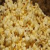 Пятнашки: Попкорн (Popcorn Slider)