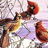 Пазл: Птички (Chatter birds puzzle)
