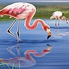 Пазл: Прекрасные фламинго (Beautiful flamingos puzzle)