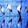 Пятнашки: Птицы на реке (Blue river slide puzzle)