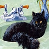 Пятнашки: Кот в раковине (Cat in the bath slide puzzle)