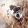 Пазл: Гуси (Brown goose family puzzle)