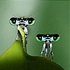 Пятнашки: Стрекозы (Green flies slide puzzle)