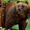 Пятнашки: Медведь (Bear in the forest slide puzzle)