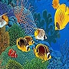 Пазл: Морские рыбки (Perfect ocean fishes puzzle)