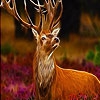 Пазл: Лесной олень (Brown deer on the forest puzzle)