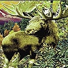 Пятнашки: Дикий олень (Green wild deer slide puzzle)