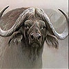 Пятнашки: Бизон (Wild old bison slide puzzle)