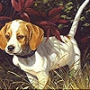 Пазл: пес в лесу (Alone dog in the woods puzzle)