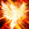 Поиск отличий: Феникс (Revival of the Phoenix)