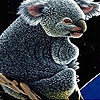 Пятнашки: Панда (Acrobat koala slide puzzle)