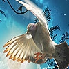 Пятнашки: Фантастический полет (Fantastic flying bird puzzle)
