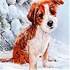 Пятнашки: Песик (Red dog in the snow slide puzzle)