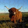 Пазл: Высокогорная корова (Highland Cow Jigsaw)