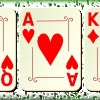 Открытый покер (Poker Open)