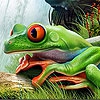 Пазл: Лягушка в водоеме (Frog in the waterfall puzzle)